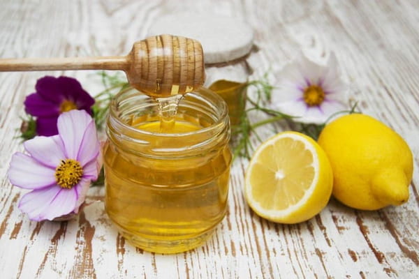 تصویر 1 از معرفی عسل آویشن کوهی + بهترین قیمت خرید